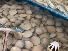 -港畔赶海蒸汽海鲜烧烤自助(仙螺岛店)