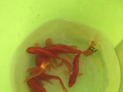 -白塘生态植物园