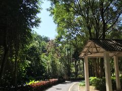 -深圳国际园林花卉博览园