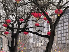 -北京利生体育商厦