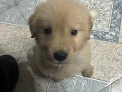 -乐宠宠物店(世纪金源店)