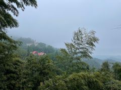 -莫干山风景区