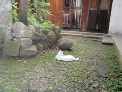 -小雅青年旅舍(平江路店)