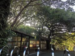 -华侨城湿地公园