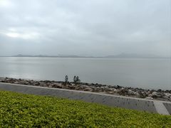 -深圳湾公园(南山区)