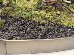 -外滩·云南人家(昆明旗舰店)