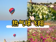 -花博汇(知音花月夜)