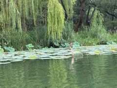 -WhaleSports户外水上运动俱乐部(朝阳公园店)