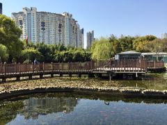 -苏州河梦清园环保主题公园