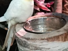 -正佳雨林生态植物园