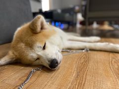 -YCHL Studios健身工作室(市二宫店)