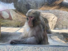 -泉州海丝野生动物世界