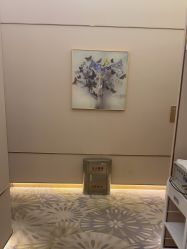 -美丽田园