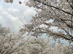-西北湖绿化广场