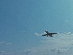 -空港花田景区