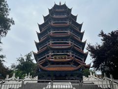 -铁山坪森林公园