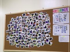 -美联众合动物医院·24h转诊中心