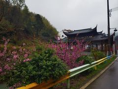 -百杖潭景区