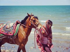 -青海湖国家重点风景名胜区