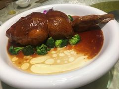 -丁老爷子苏香圆