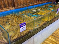 水产区-开海·红岛海鲜虾水饺(石老人店)