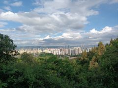 -长虫山生态公园风景林