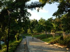 -炮台山公园