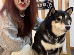 -柴迷FANS CLUB·柴犬狗咖·猫咖