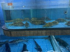 水产区-天怡·鱼工厂(临江店)