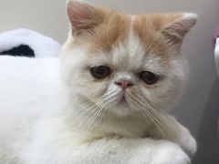 -地锅居(翰林邻里中心店)