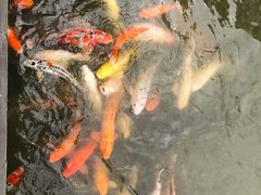 -珠海圆明新园