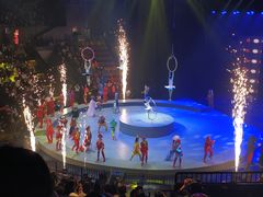 -重庆国际马戏城