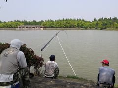 -上海海湾国家森林公园