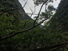 -太鲁阁公园