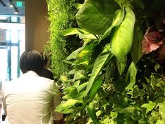 -Seesaw Coffee(环贸iapm店)