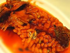 松鼠鱼-橄榄季酒店