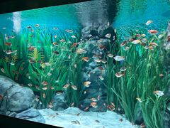 -上海海洋水族馆