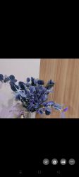 点击看大图 -Lily纤美·科技减脂中心