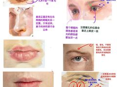-八哥美术·成人美术画室(总校区)