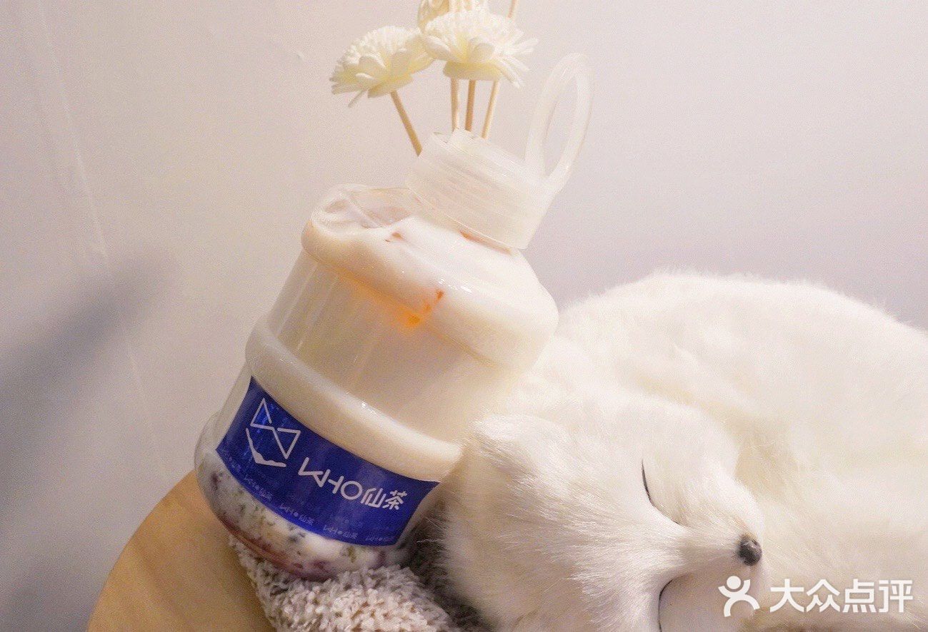 这家狐狸奶茶开业半价  感觉还是非常不错奥