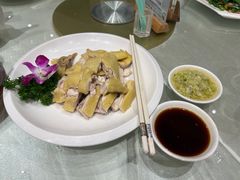 -品泉餐厅·大盆鱼·走地鸡