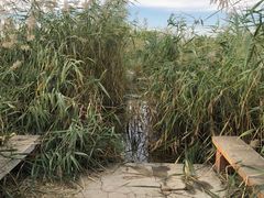 -绿堤公园