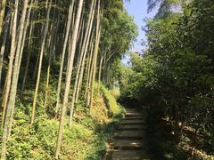 -东明山森林公园