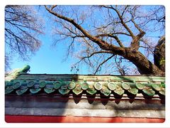 -北京国子监胡同