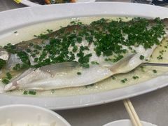 -金鼎轩(方庄天坛店)