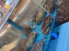 -蓝珊海鲜澳洲和牛自助餐厅