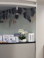 -上海首尔丽格医疗美容医院