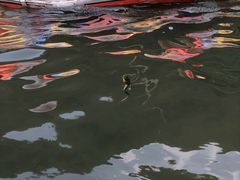 -安吉龙王山峡谷漂流