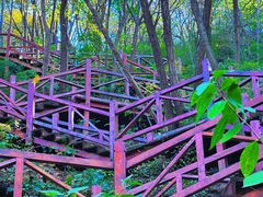 -大岭沟猕猴桃谷风景区