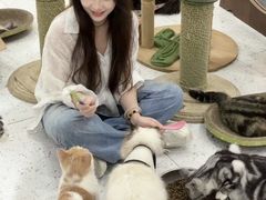 -喵园·猫主题咖啡厅·撸猫·猫咖(国贸店)
